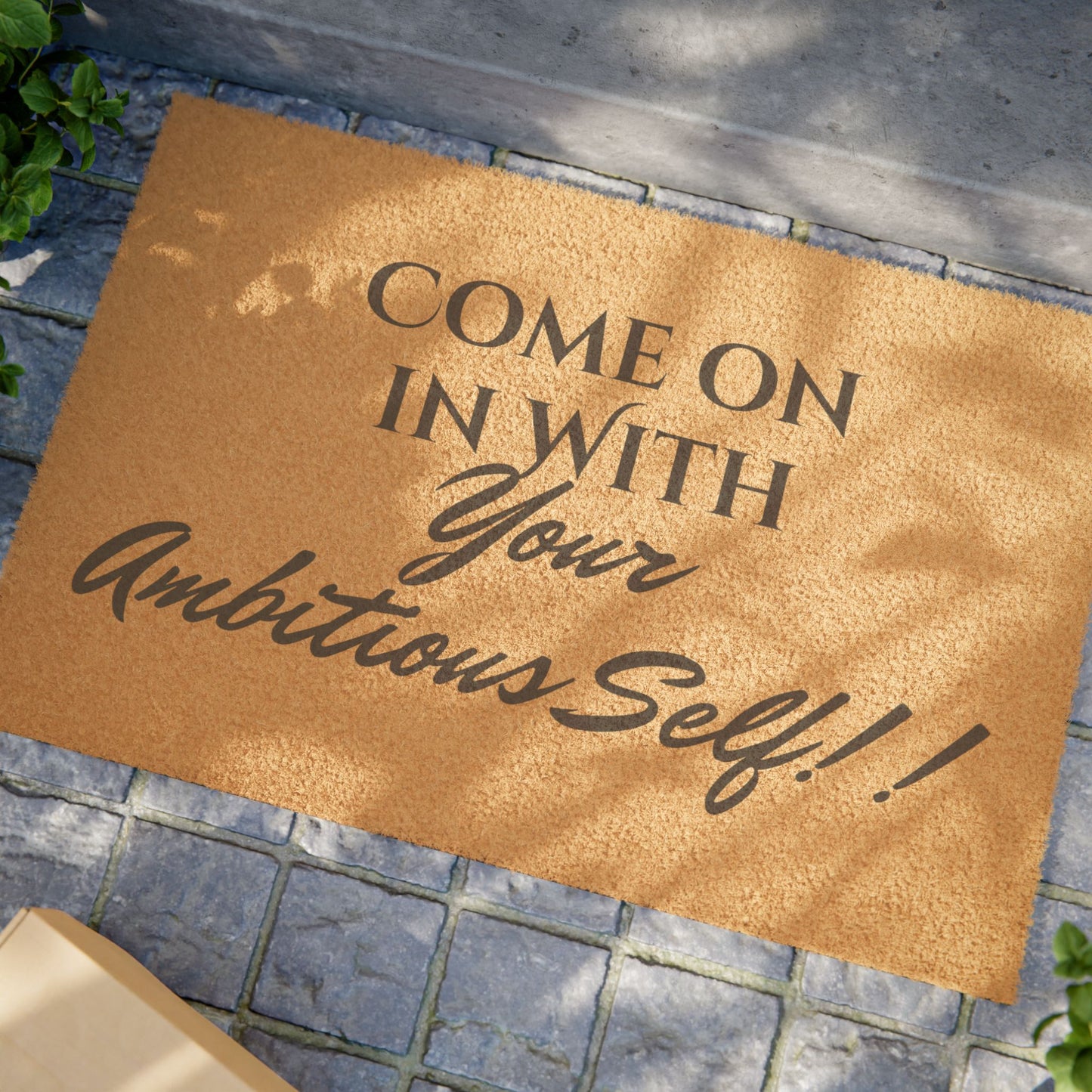 Inspirational Welcome Doormat - Come on in with Your Ambitious Self!!
